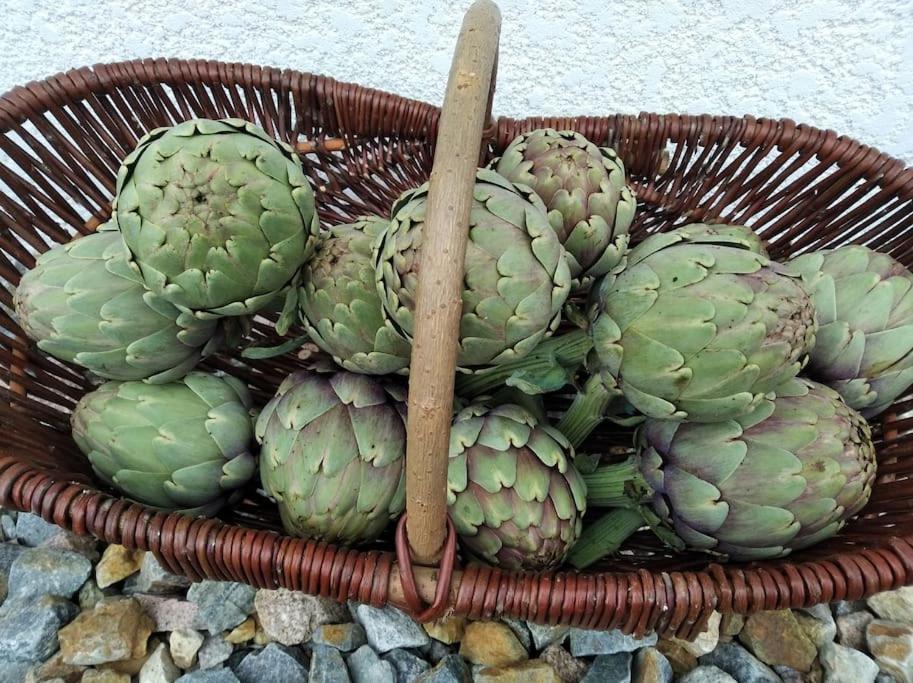 Gite La Grangette De Pauline Mercus-Garrabet Eksteriør bilde