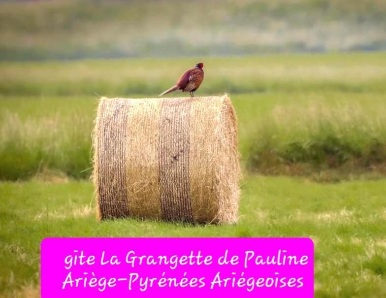 Gite La Grangette De Pauline Mercus-Garrabet Eksteriør bilde